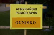 Prawie 77% ankietowanych rolników jest przekonanych, że ich gospodarstwa są dobrze zabezpieczone przed afrykańskim pomorem świń, a oni sami stosują się do zasad bioasekuracji.