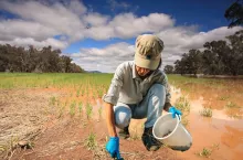 Inspekcja zbadała grunty po powodzi. Jakie zagrożenie dla upraw?