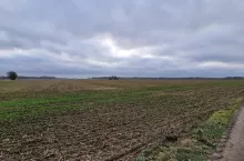 Kiedy członek RSP może sprzedać ziemię rolną?