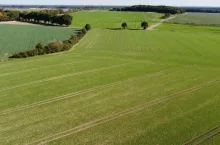 widok, krajobraz, zadrzewienie