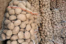 Polskie ziemniaki w workach