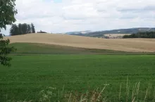 pole wieś zboże uprawy