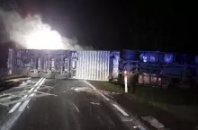 Pojazd przewoził około 170 świń.