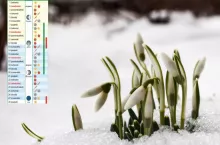Kalendarz biodynamiczny na luty 2025: jakie prace w ogrodzie i domu?