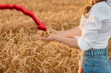 gwałtowny spadek cen zbóż i mleka