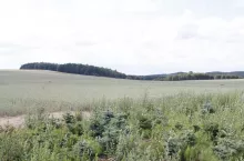 Najwięcej gruntów nabywanych przez cudzoziemców jest m.in. na terenie województwa zachodniopomorskiego