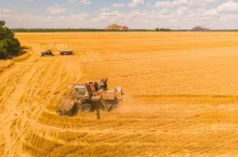 Aerial view of summer harvest. Combine harvester harvesting large field. Agriculture from drone view.