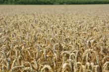 Towarzystwo ma się skupić na celach ekonomicznych