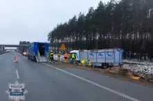 Kilkanaście sztuk bydła, po wypadku rozbiegło się po okolicy.