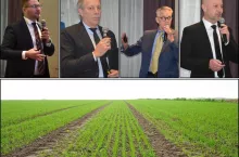 Nowe fungicydy i herbicydy do zbóż i rzepaku. Jak działają?