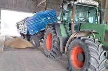 Pszenica ma trzymać cenę, a nawozy zdrożeją. Jest szansa dla świń? [Raport rynkowy 17.01.2025]