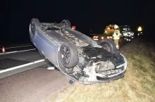 Krowa rozbiła tira i Toyotę. A rolnik zapłacił mandat