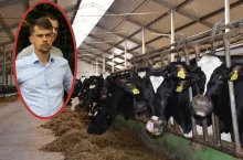 Apel o pilne wsparcie dla polskich mleczarzy. ”Destabilizacja producentów mleka”