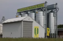 Poznańska Hodowla Roślin