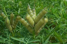 SAMSUNG DIGITAL CAMERA