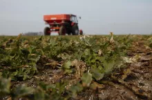 Kiedy można wyjechać z azotem w pole? Terminy wiosennego nawożenia 2025