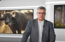 Kiedyś krowa gorsza od węgla, teraz sosna. Videoblog Naczelnego