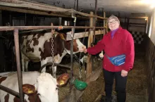 Danuta Rataj ukojenie w tak trudnej sytuacji znajduje w pracy ze zwierzętami