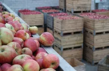 Przetwórnia do kupienia