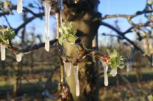 eksperymentalna prognoza pogody