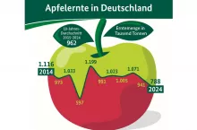 Zbiory jabłek w Niemczech w ostatnich 10 latach