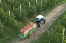 polskie sadownictwo