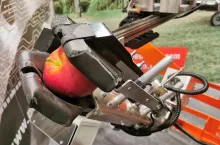 maszynowy zbiór jabłek deserowych