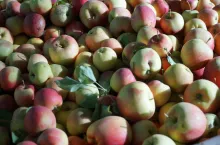 jablka na obieranie
