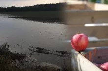 sadownicy chcą pomoc powodzianom