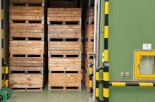 Skumulowany eksport jabłek z Unii Europejskiej. Źródło: www.agriculture.ec.europa.eu