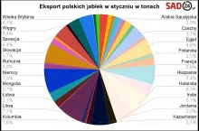 eksport jabłek 2024