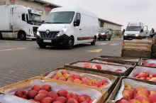 auto dostawcze dla sadownika