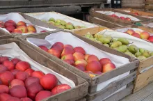 ceny na rynku hurtowym w broniszach