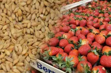 embargo na produkty rolne