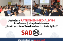 doradca jagodowy