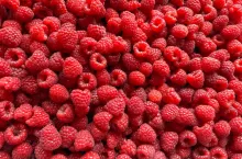 mrożone maliny importowane z ukrainy