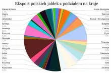 odbiorcy polskich jabłek