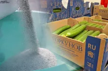 import nawozów i warzyw z rosji