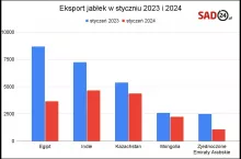eksport polskich jabłek styczen 2024