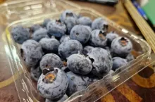 importowane borówki