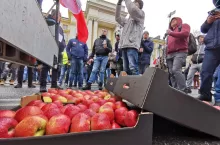 protest sadownikow