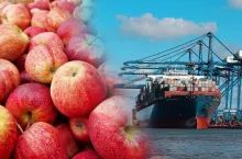 problemy w transporcie morskim