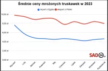 egipskie i polskie mrożone truskawki