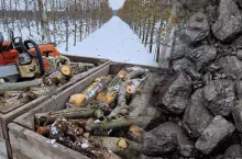 drewno jabłoniowe na opal