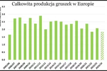 zbiory gruszek ostatnie 10 lat