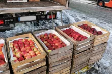 aktualne hurtowe ceny jabłek