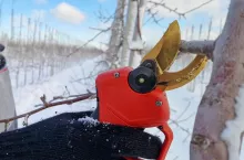 przegląd cen sekatorów elektrycznych