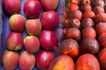 aktualne ceny jabłek