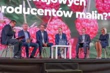 debata