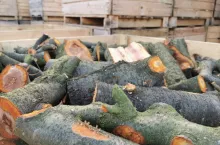 piła w gospodarstwie sadowniczym